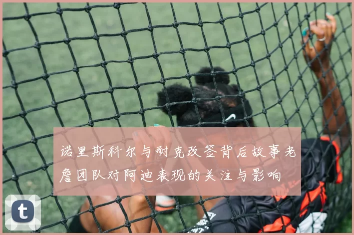 诺里斯科尔与耐克改签背后故事老詹团队对阿迪表现的关注与影响