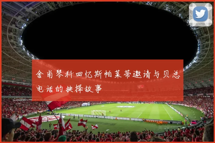 舍甫琴科回忆斯帕莱蒂邀请与贝总电话的抉择故事