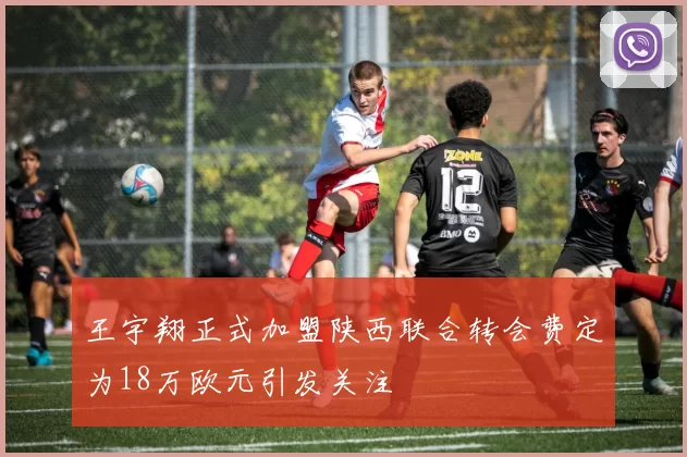 王宇翔正式加盟陕西联合转会费定为18万欧元引发关注