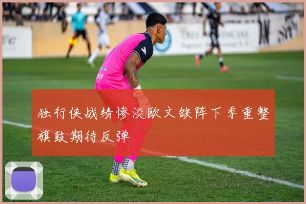 独行侠战绩惨淡欧文缺阵下季重整旗鼓期待反弹
