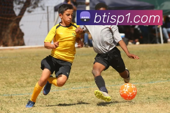 bti体育平台平台生态图